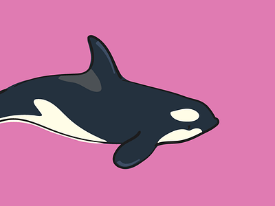 Orca animal illustration illustrator minimal orca outline pink vector