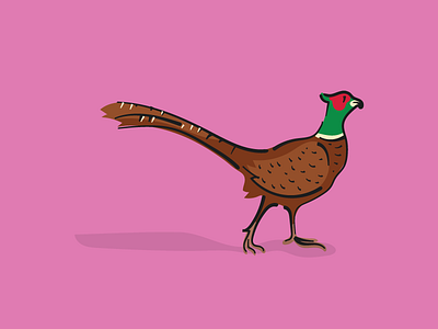 Pheasant animal bird cartoon comics illustration outline pink vector