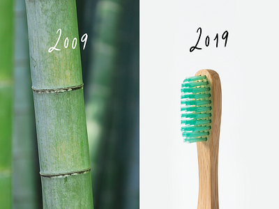 #10yearsChallenge bamboo eco instagram photo social