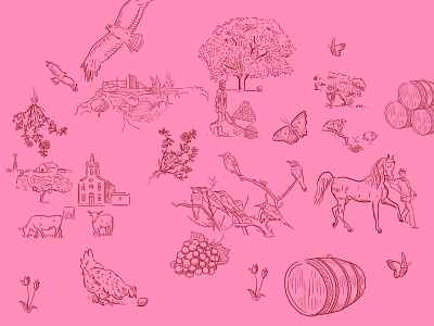 Nature animals book doodle drawing hand drawn nature pink wacom