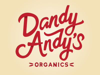 Dandy Andy's Logo branding ictdesign lettering logo