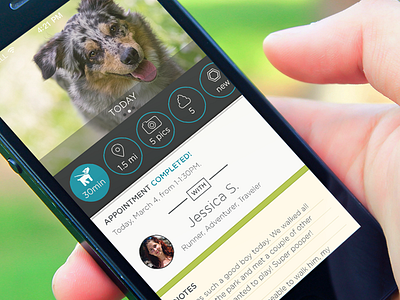 Side Project appointments dogs ios ui ux