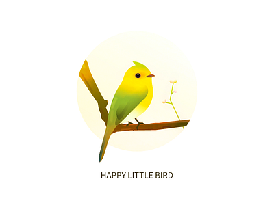 little bird