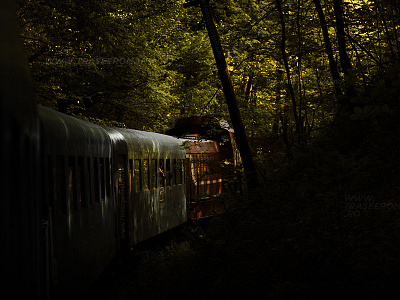 Train in forest dark foliage forest locomotive photography romania train trees vagon