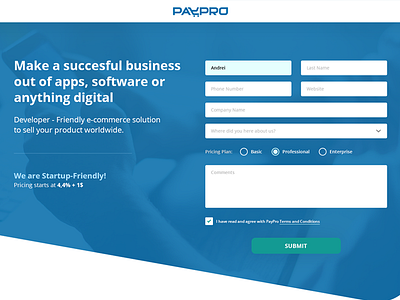 PayPro Landing Page blue digital fields landing page pay