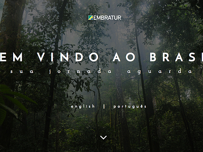Bem Vindo ao Brasil - Travel Site brazil css design english html minimal portuguese travel ui ux web website