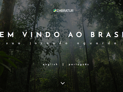 Bem Vindo ao Brasil - Travel Site