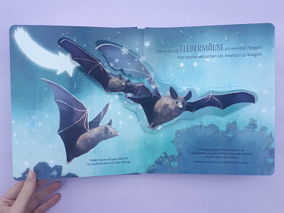 Bats animal bats childrens books childrens illustration cute illustration kidlitart night pop up book