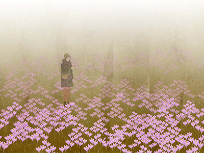 crocus meadow crocus flowers fog girl spring