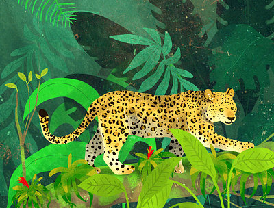 Leopard cute cute animal illustration leopard nature