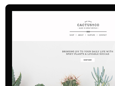 Cactus & Co Web Design & Art Direction art direction branding layout luxury photography shop user experience web design