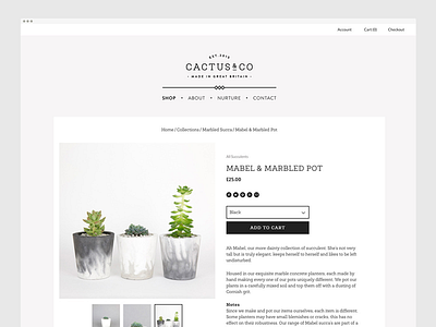Cactus & Co Web Design & Art Direction art direction branding layout luxury photography shop user experience web design