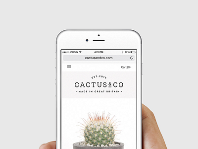 Cactus & Co Responsive Web Design art direction branding layout luxury photography shop user experience web design