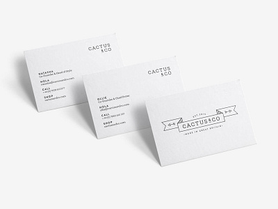 Business Cards — Cactus & Co. branding business cards design drawing identity illustration line logo stationery typography