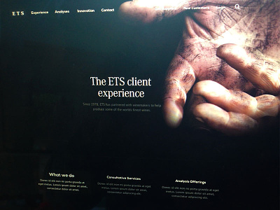 client experience page css dark design grain gritty hands html web website wine