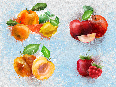 Mangiare - Fruit Illustrations