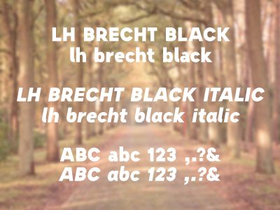 Lh Brecht overview