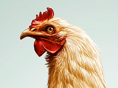 Chicken gif brazil chicken digital art digital painting gif illustration photoshop pixel rafael
