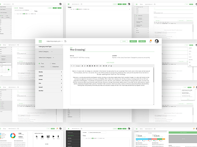 CMS Editor for writers app clean cms design editor flat minimal typography ui