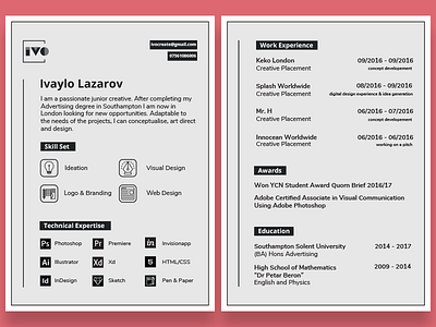 Resume Redesign branding cv design exciting flat icon resume typography