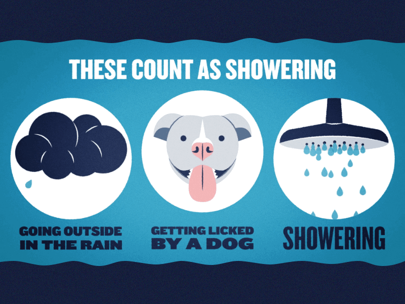 Showering Facts ae after effects animation dog illustration infographic panting rain shower water