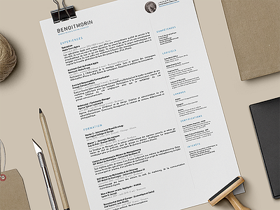 Resume 2015 chicago clean cv french minimal pro resume simple