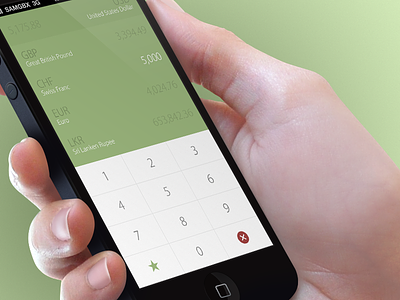 Currency Converter design flat green interface ios iphone numbers ui user