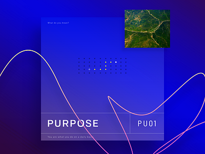 Purpose - PU01