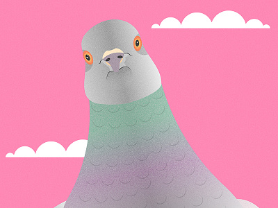 Pigeon art artwork bird design flat gradient grain illustration pigeon pink sky texture vector