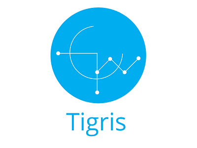 Tigris Logo V1 brand branding design graphic graphic design logo typography