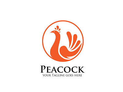 Peacock animal beautiful bird creative logo logos peacock