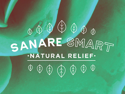 Sanare Smart leaf logo mark minimal nature