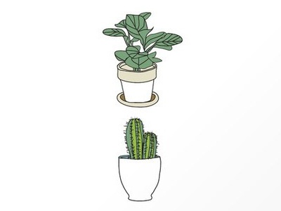 Plants Cactus Coffee Prints Sm cactus illustration plant retro
