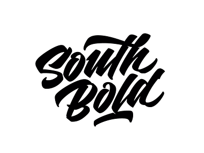 South Bold argentina buenos aires development lettering logo logotype south vector