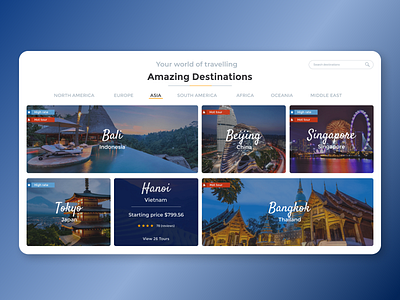 Travel agency travel traveller travellers travelling web web design webdesign