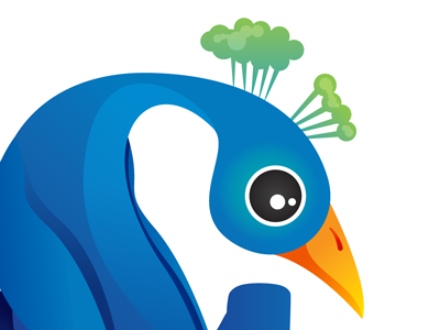 Resi Salon and Spa Logo bird logo peacock vector