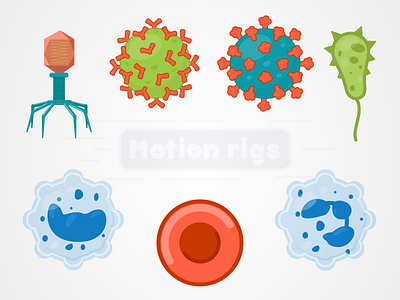 Viruses and Blood cells adobe illustrator blood cells design illustration motion design viruses
