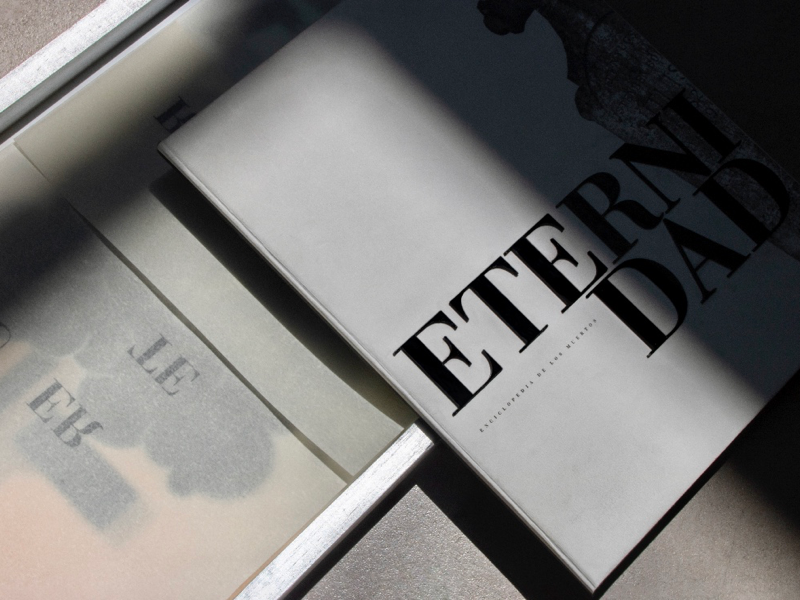 L'encyclopédie design graphics graphicdesign book print identity editorialdesign editorial