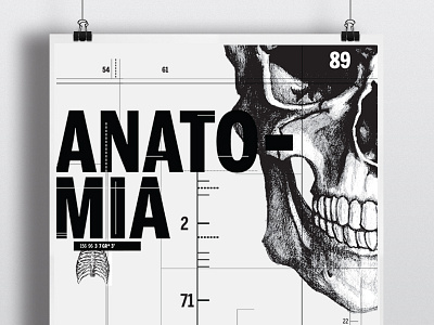 Anatomy anatomy design editorial graphicdesign poster skull