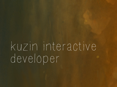 Identity Concept logo branding concept interactive developer
