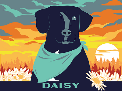 Daisy