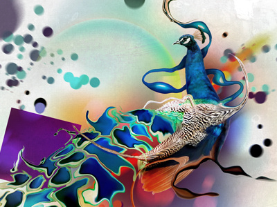 Abstract Birds - Peacock abstract bright clean colorful compositing design fluid graphic liquid organic surreal vibrant