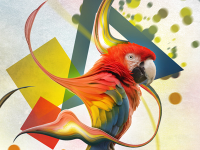 Abstract Birds - Macaw