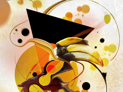 Abstract Birds - Toucan abstract bright clean colorful compositing design fluid graphic liquid organic surreal vibrant