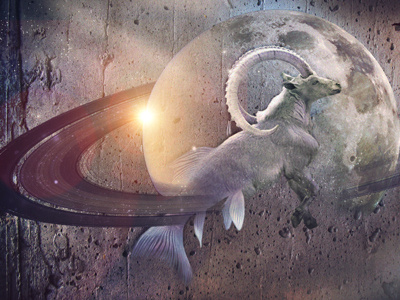 Designer's Challenge - Bestiary design motion motion graphics storyboard styleframe