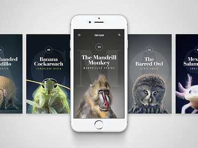 Animals - Mobile cards home ios landing layout mobile nav photography typography ui ux