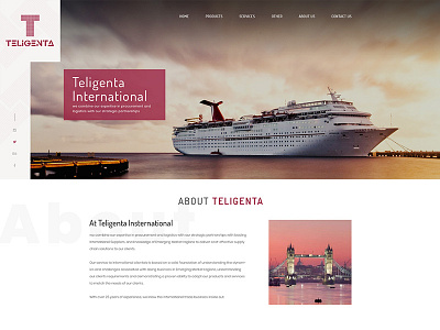 Teligenta Travel Agency Template