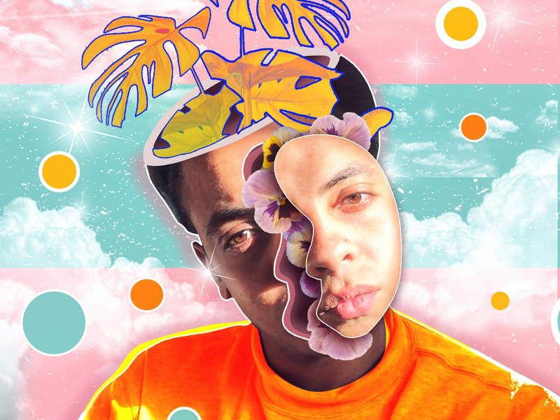 Splitting headache photoshop drawing sketch art colorful edit photo manipulation illustration head flowers adobe collage portrait