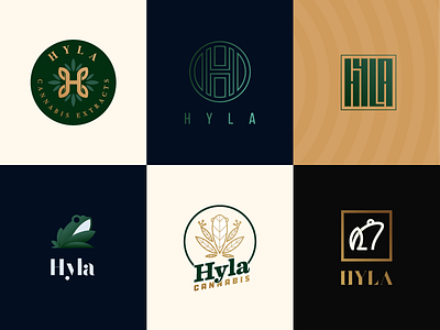 Hyla Logo Concepts branding cannabis concepts frog hyla logo marijuana medical weed