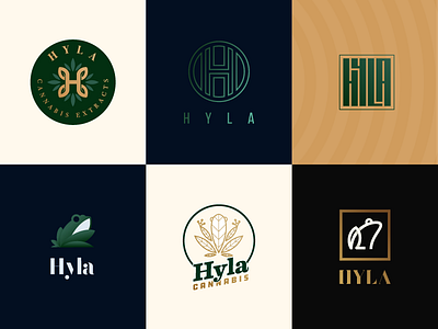 Hyla Logo Concepts